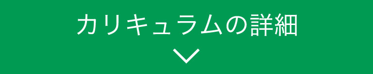 カリキュラムの詳細