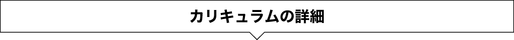カリキュラムの詳細