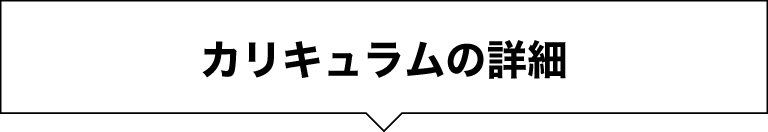 カリキュラムの詳細