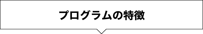 プログラムの特徴