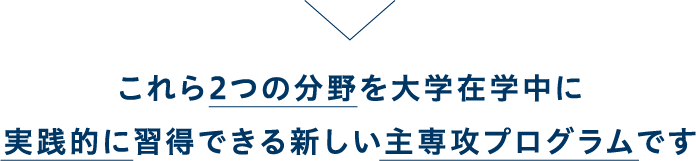 これら２つの分野を大学在学中に実践的に習得できる新しい主専攻プログラムです