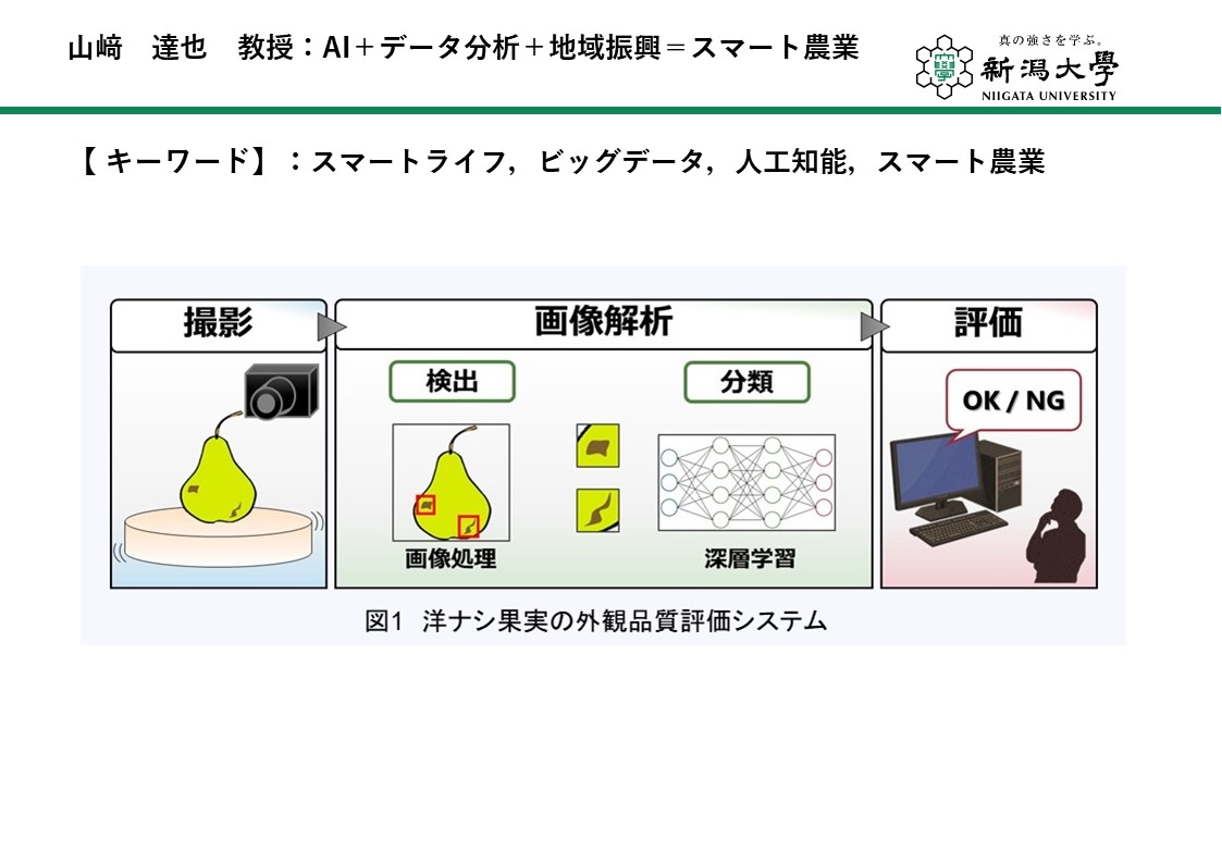 知能情報システムプログラム研究室紹介