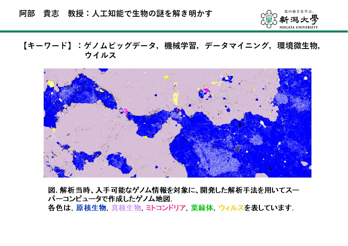 知能情報システムプログラム研究室紹介