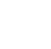 融合領域分野