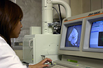 走査型電子顕微鏡(SEM)
