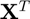 $ \mathbf{X}^T $