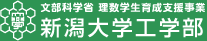 文部科学省 理数学生育成支援事業部　新潟大学工学部