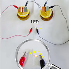 レモン電池